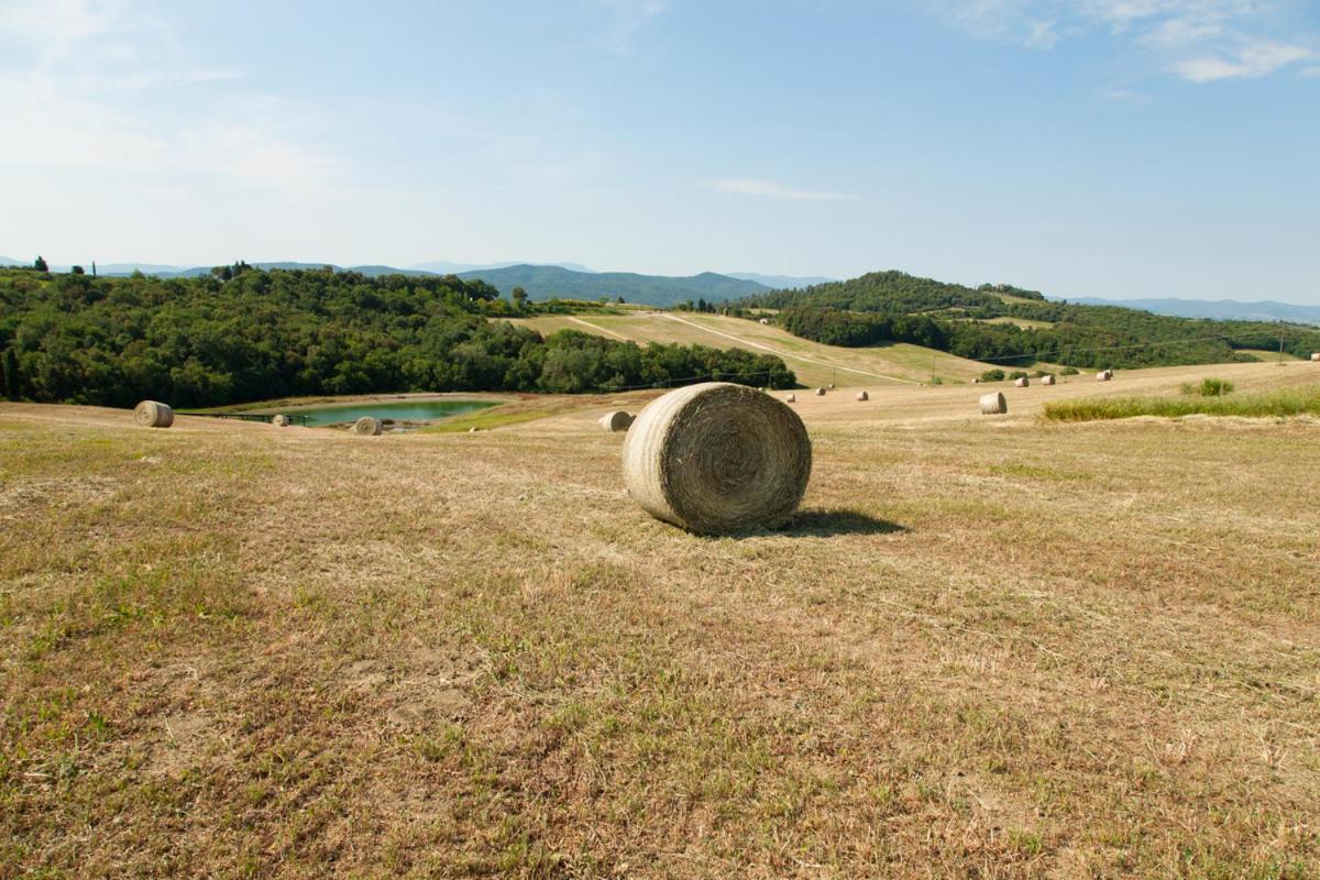 I Quattro Elementi Bed and Breakfast Βολτέρρα Εξωτερικό φωτογραφία